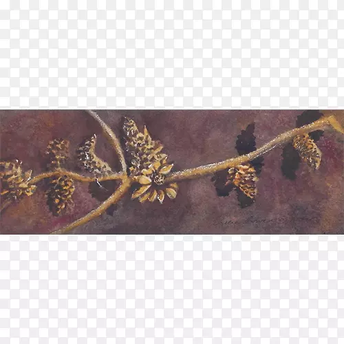 �����ʼ�ŦԼ��ͨѶ�����ξ���-�����ʼ�-������