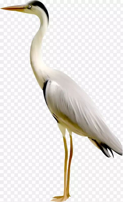 �Ĵ������������������ػ�-������