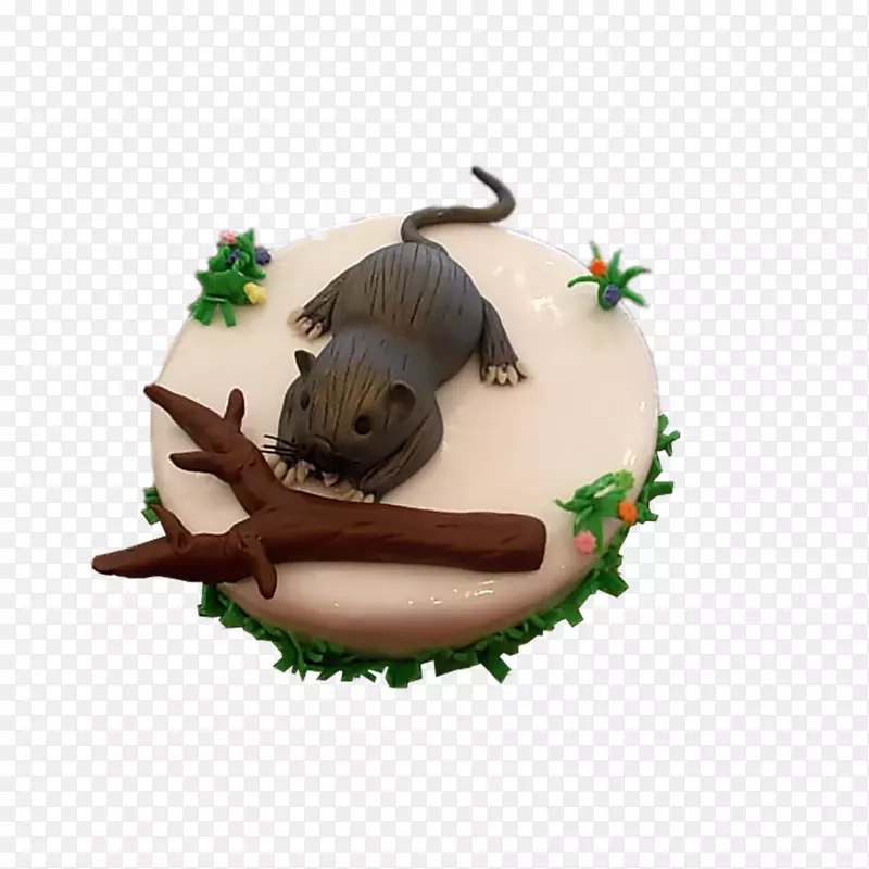 �������-����-������