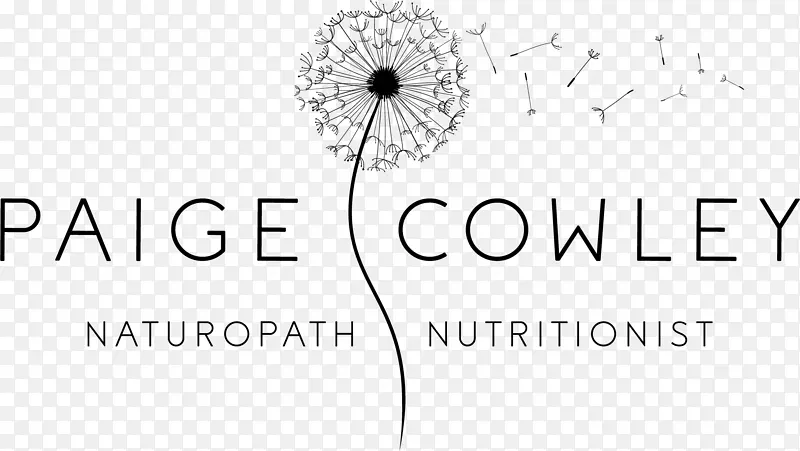 �̱��������-������