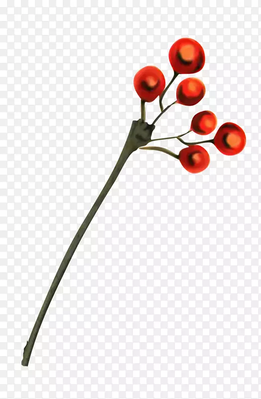 �¸���˹ˮ��������-����-������