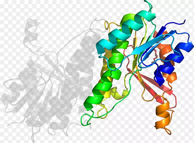 ���߼�����-��-������