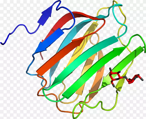 �ߵ������������-������