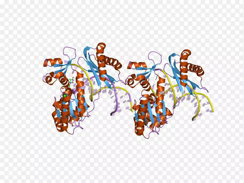 ����������-�����ʿ�ͨ-������