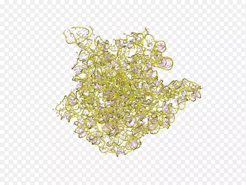 �����鱦����-�����ʿ�ͨ-������