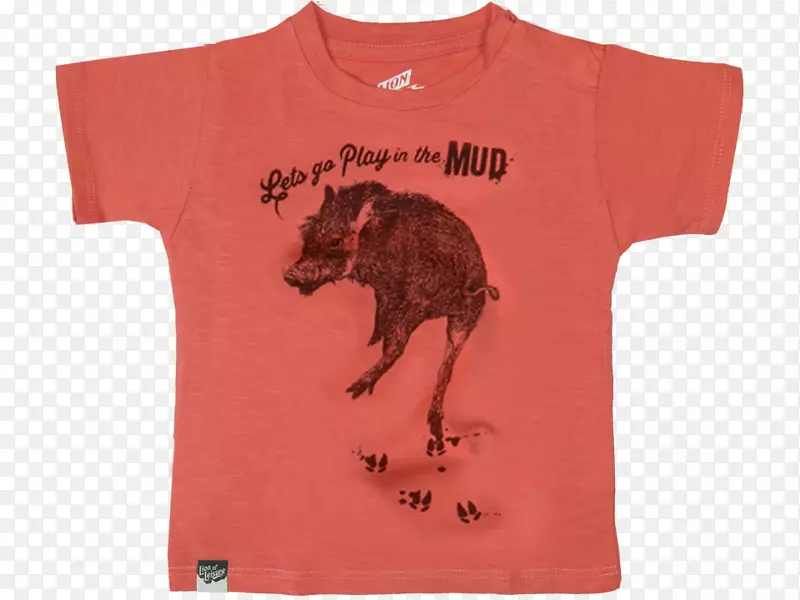 t�������װ����t��-������