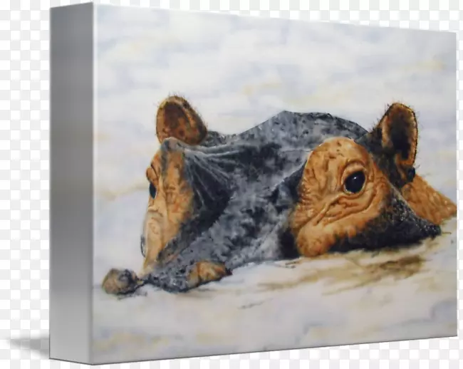 ���ݶ���滭�������Ұ������滭-������