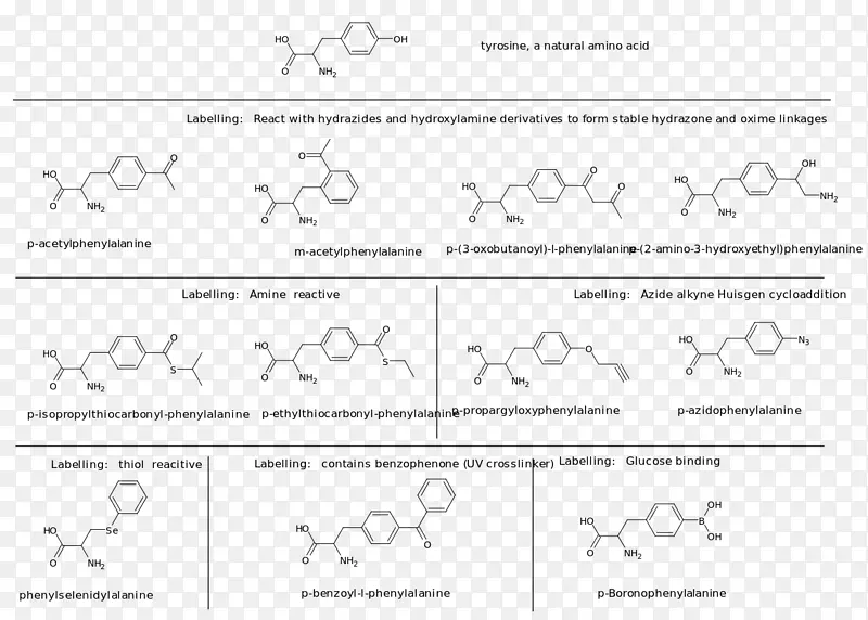��ʳ������������춬���ᵰ��-ҳ�沼��-������