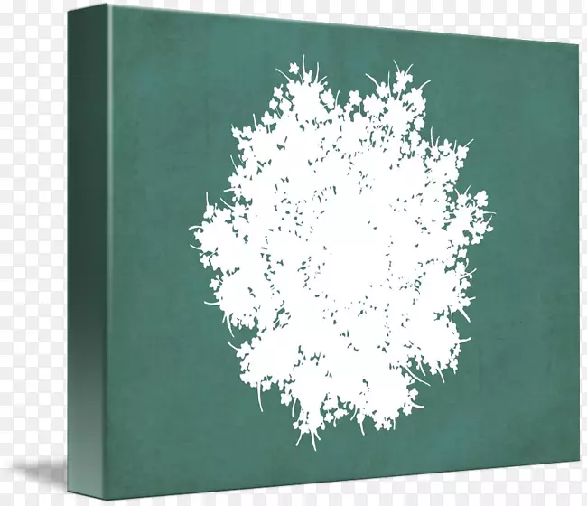 ��-��-������