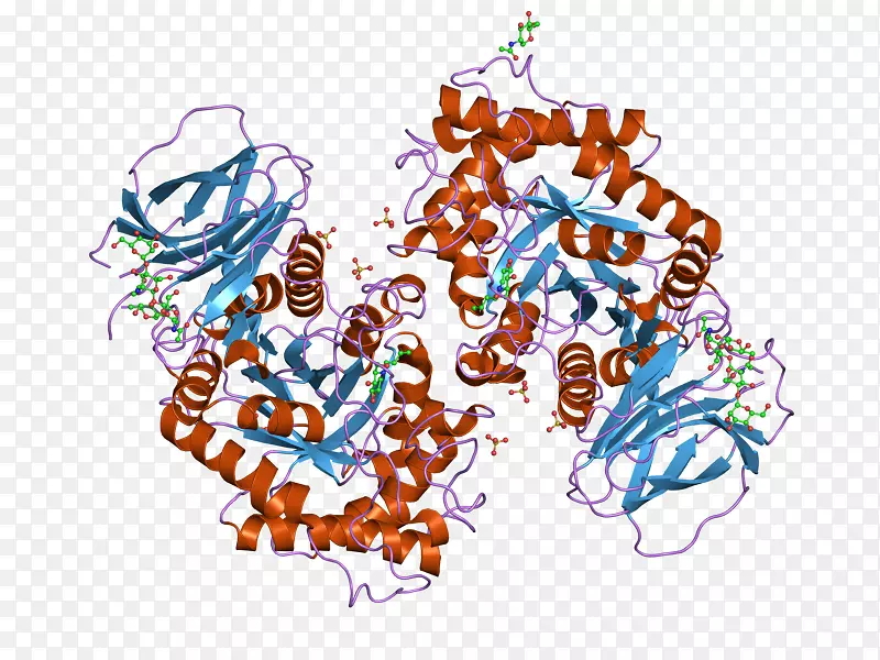 �ߵ������-��-������