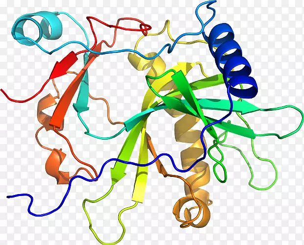 �ߵ������������-������