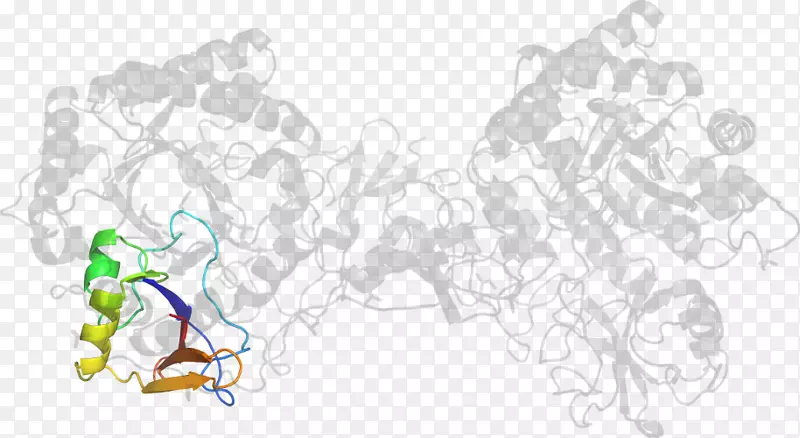 ��ͨ���-������