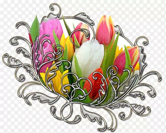 ��������л�����-������