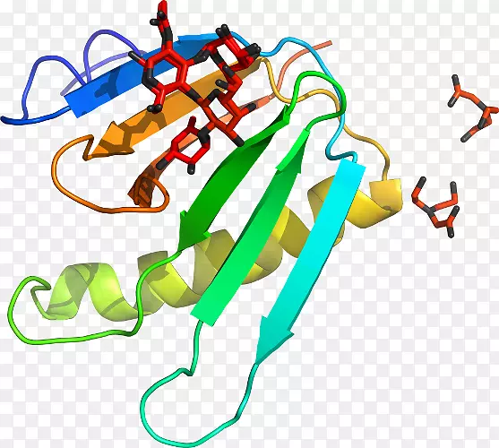 �ߵ������������-������