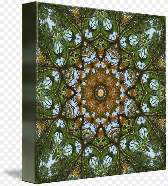 ���ڶԳ���-����-������