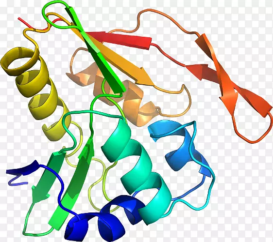 �����鱦���л����������-������