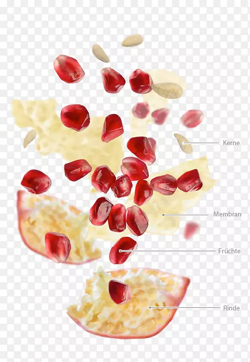 Խ�ٳ���ʳƷ-zumo-������