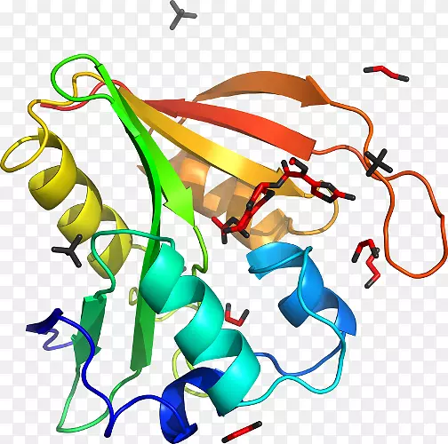 �ߵ������-��-������