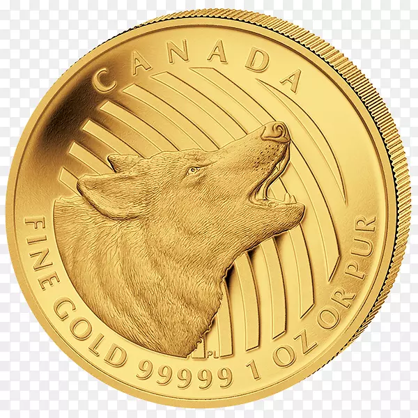 ��һ��Ǳ�-������