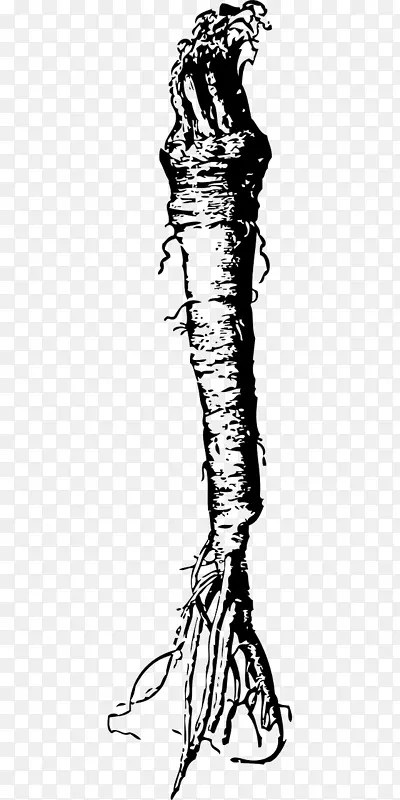 ���̸�����������-�߲�-������