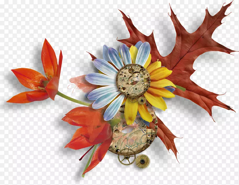 ����ֲ��-����12 0 1-������