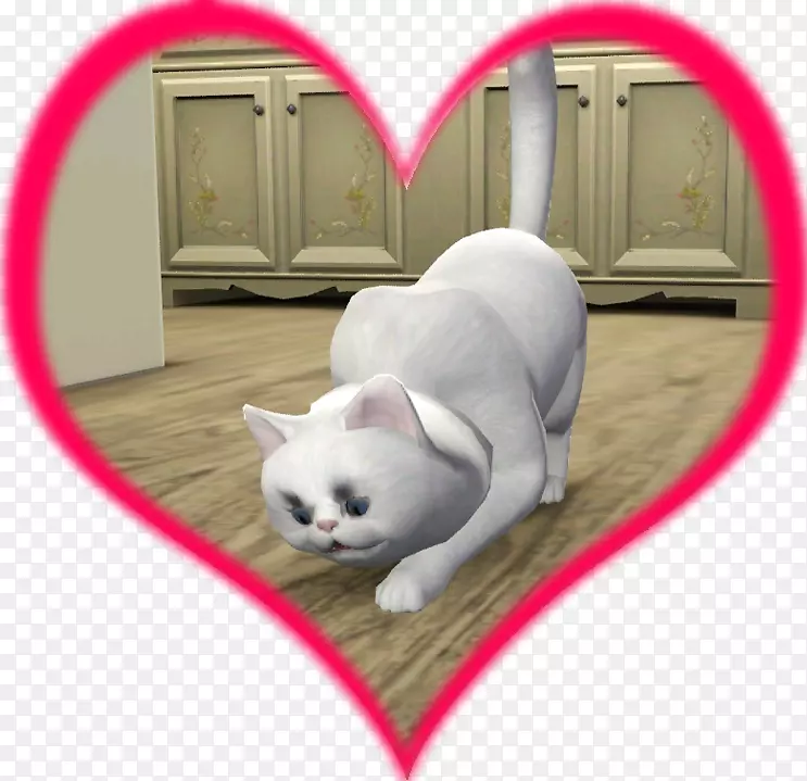 ���룬С����è����-С��-������