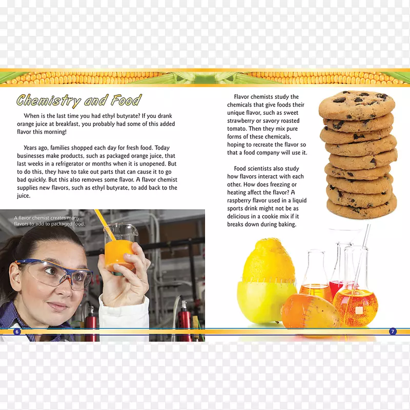 ���ʳ��-��Ƹ��ʦ-������