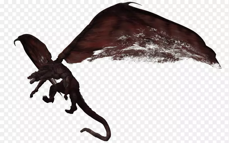 ����-������