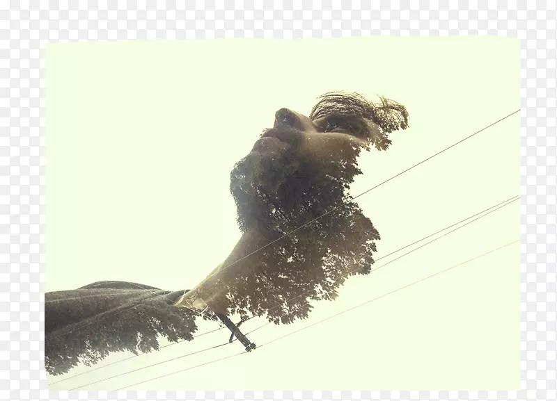 Berhayat��Ӱ.����ع�-������