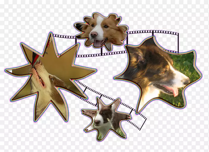 ʥ����װ�ζ���-ʥ����-������