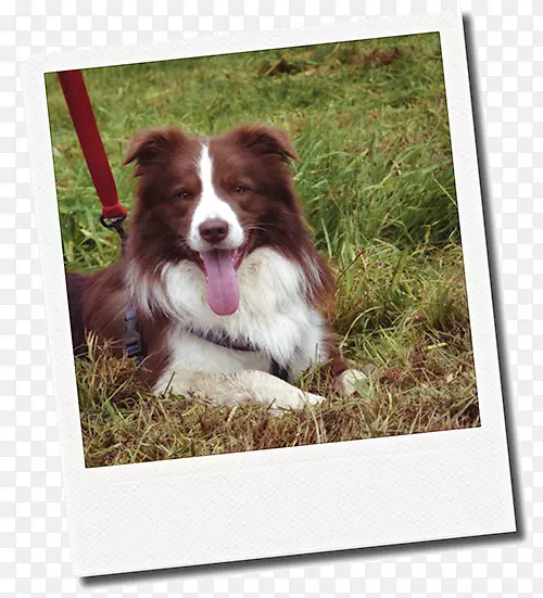 Ȯ�ֱ߾�����Ȯ�Ĵ���������Ȯ��Ȯ-�߾�����Ȯ-������