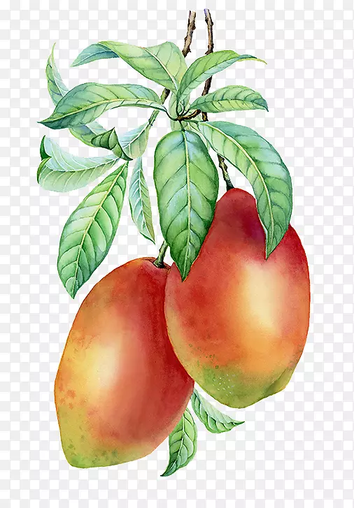 ��ͨ�޻�����һ��â��-������