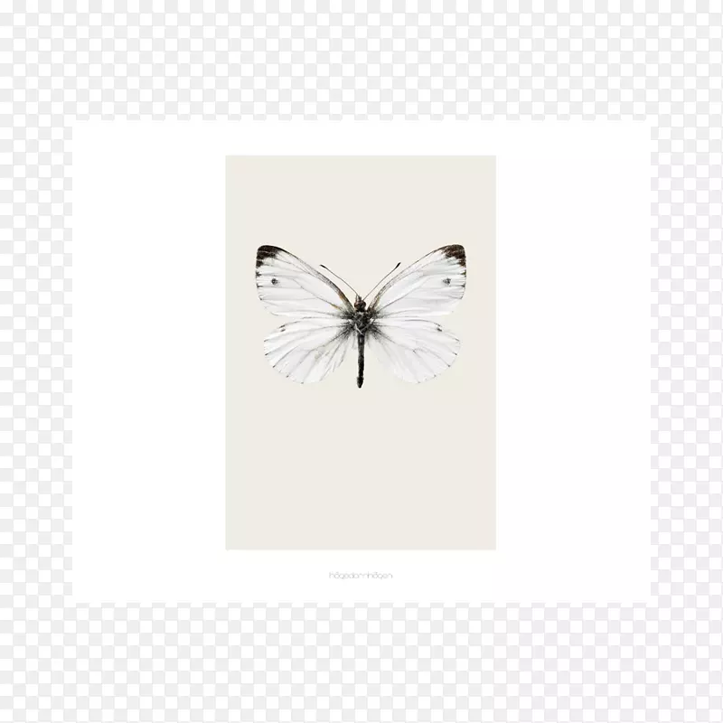 �������-������