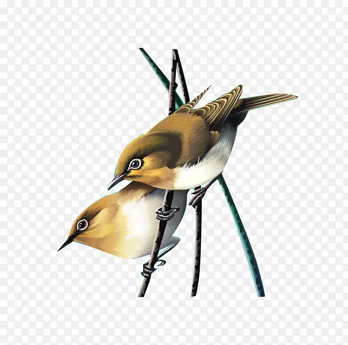 ��-������