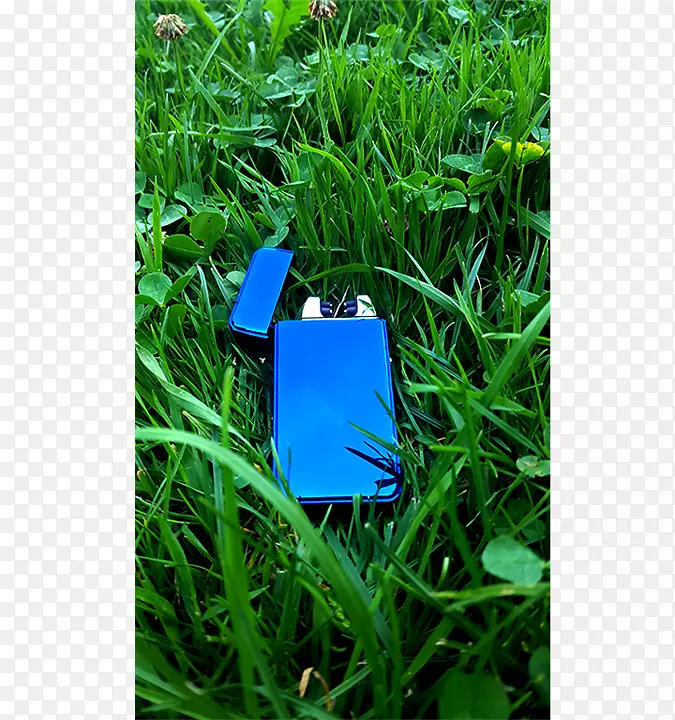 ��ƺ�ݵ����ϲݿ�-����-������