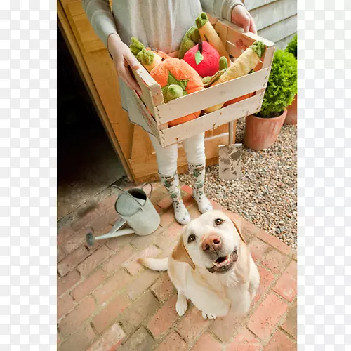 ���ı���-��߹�-������