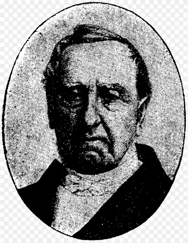 ��ɫ����-����-������