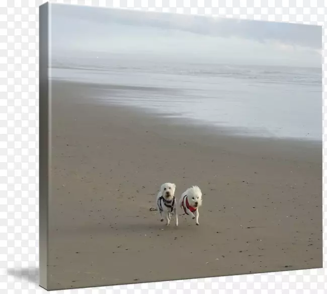 ��-������