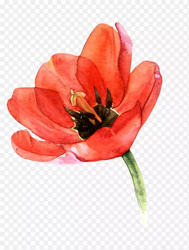 ������ˮ�ʻ�����ˮ�ʻ���������-������