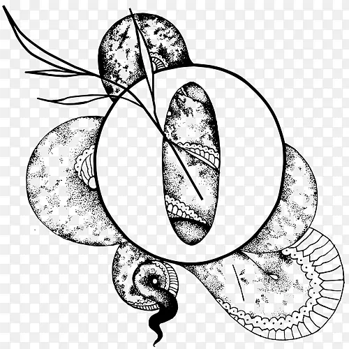 ��������ʳƷ������-��-������