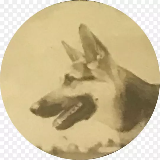 Ȯ��Ȯ���Ȯ-������