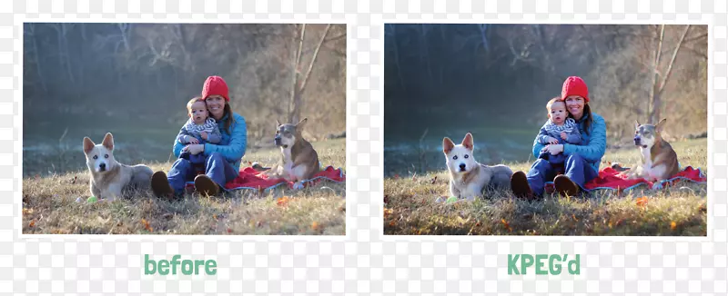 ���ȸ���Ϸ��-������