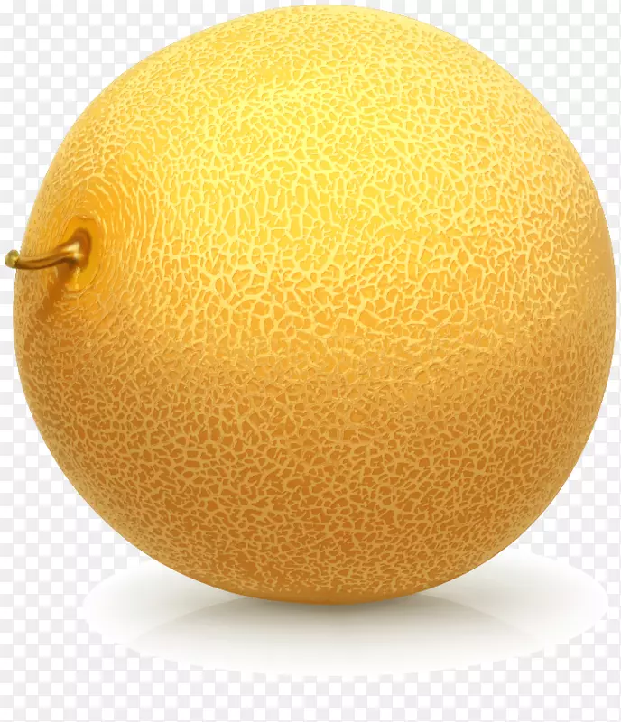 ���ӹ��ܹϲʻ��������-������