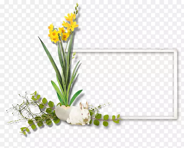 ��������л�����ֲ�ﾥ-�ɰ��Ŀ��-������