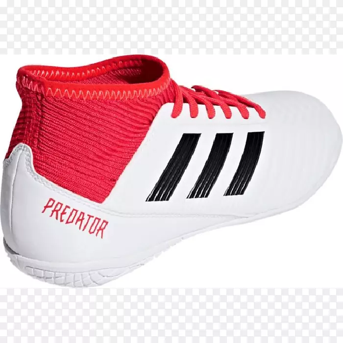 �����߰��ϴ�˹��ʳ�߰��ϴ�˹-������