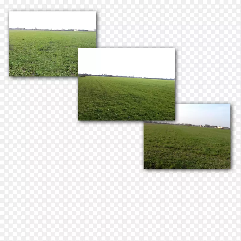 �ؿ��������������-������