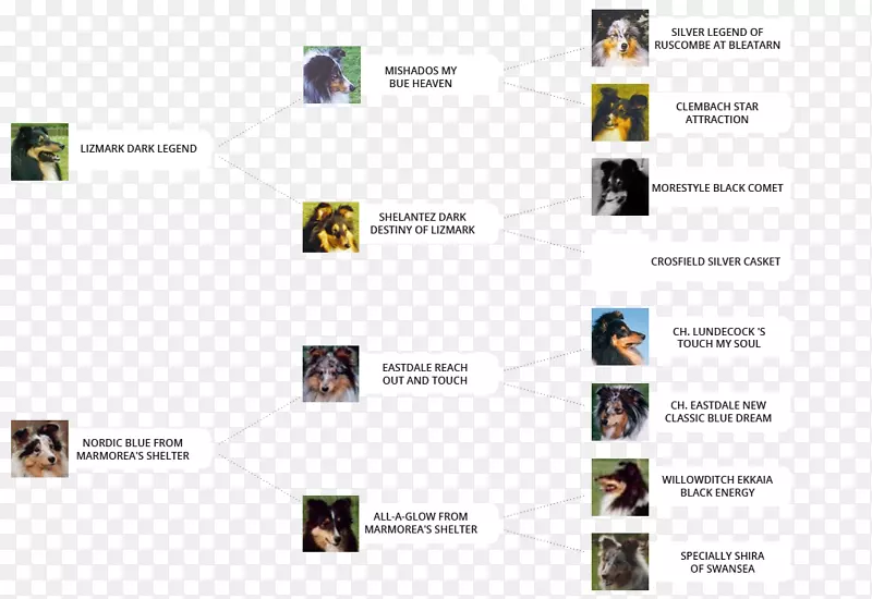 Ʒ�Ʊ�־�������-������