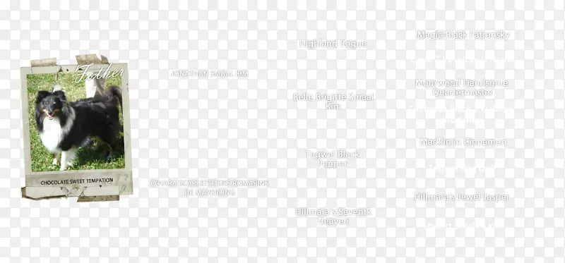 Ȯ�ֱ���������Ȯ-������