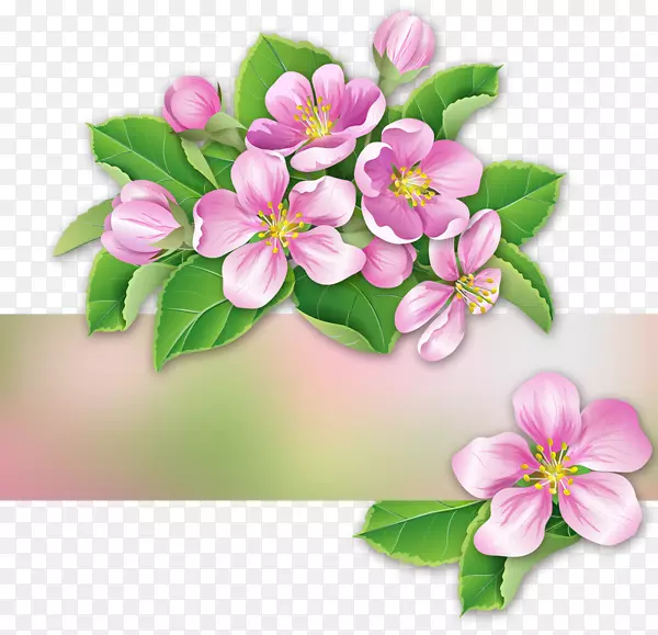 ÷�����ʹ�����������ɾ�-������