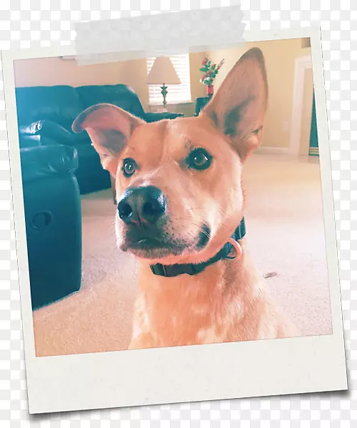 Ȯ�ֿ�������Ȯ�����ޱ���-��ʲ-������